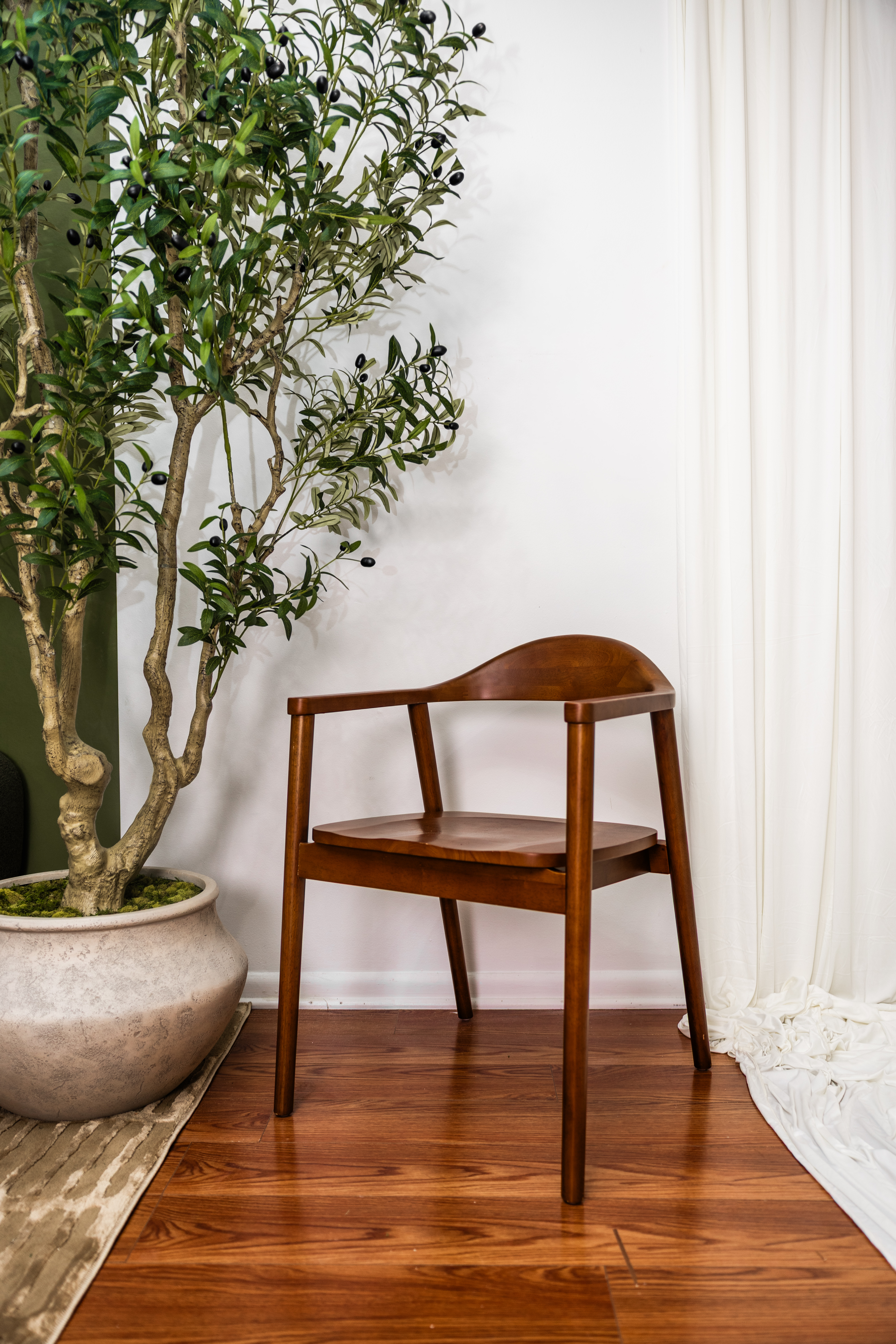 Soft studio set inside Amore & Olive Studio