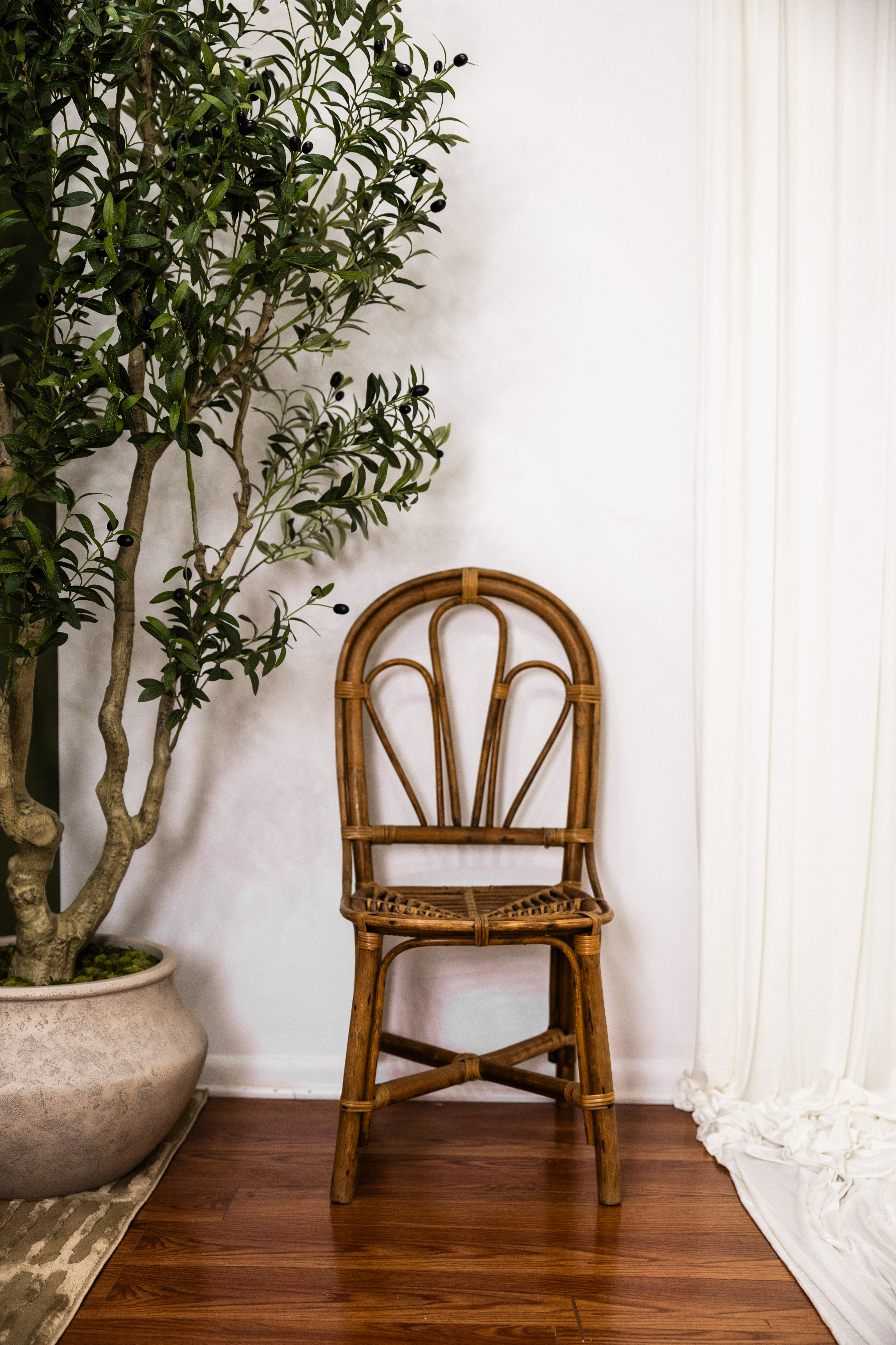 Photo-ready studio space at Amore & Olive Studio